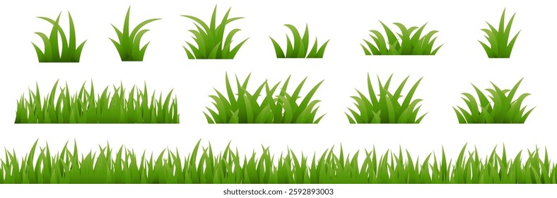 Big Set Green Grass Isolated White Poster , Vector Illustration