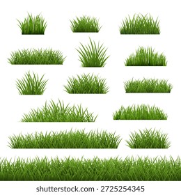 Gran conjunto de hierba verde aislado fondo blanco, Ilustración vectorial
