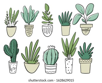 Big Set Green plants in home pots. Vector illustration in cartoon style. Isolated on white background.