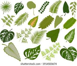 Big set of green vector tropical leaves.