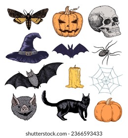 Big set of halloween illustrations. Ink drawing of horror gothic symbols for design.