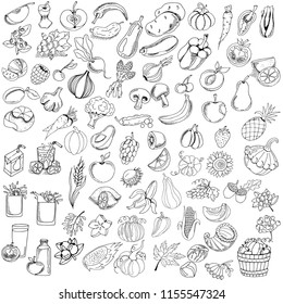 Big set of hand drawing autumn harvest, pumpkins and other farm food, black and white vector illustration