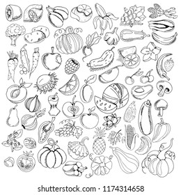 Big set of hand drawing line icons of vegetables and fruits, design elements for restaurant menu, cafe, veggie food, black and white sketches, vector illustration