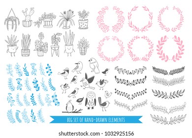 Big set of hand drawn birds, plants, ribbons and flags