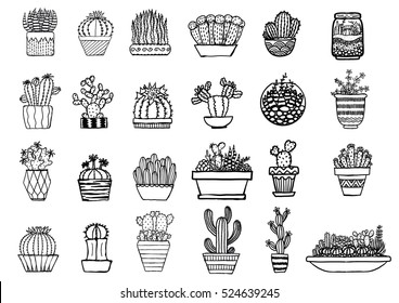 Big set of hand drawn cactus isolated on white background