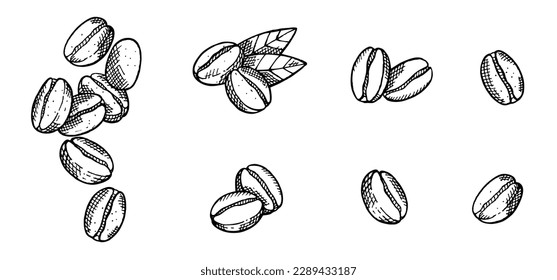 Big set with hand drawn coffee beans isolated on white background. Vegetarian, organic food. Vector Illustration. 