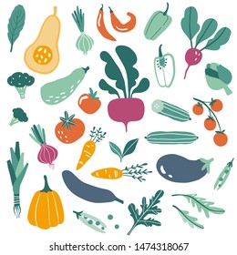 Big set with hand drawn colorful doodle vegetables and greens. Sketch style vector collection. Flat icons: pumpkin, tomato, onion, cucumber. Vegetarian healthy food. Vegan, farm, organic, natural