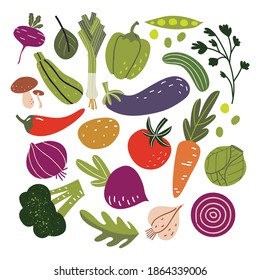 Big set with hand drawn colorful doodle vegetables and greens. Flat style vector collection. Carrot, tomato, onion, cucumber, radish, broccoli. Vegetarian healthy food. Vegan, farm, organic, natural