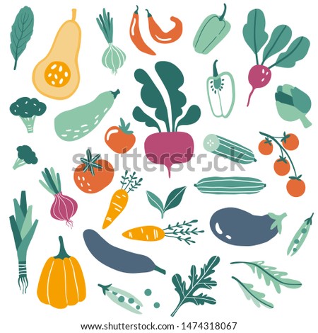 Big set with hand drawn colorful doodle vegetables and greens. Sketch style vector collection. Flat icons: pumpkin, tomato, onion, cucumber. Vegetarian healthy food. Vegan, farm, organic, natural