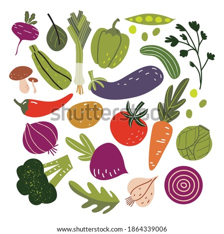 Big set with hand drawn colorful doodle vegetables and greens. Flat style vector collection. Carrot, tomato, onion, cucumber, radish, broccoli. Vegetarian healthy food. Vegan, farm, organic, natural