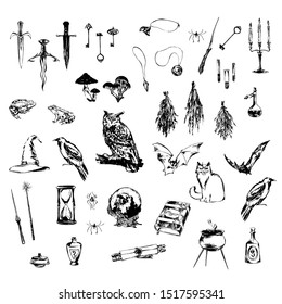 Big set of hand drawn decoration design elements for halloween party. Medieval magic objects and animals painted by ink. Grunge style vector black sketch illustration isolated on white background.