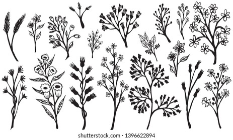 Big set of hand drawn floral vector with   leaves and branches,Floral sketch collection. Decorative elements for design. 