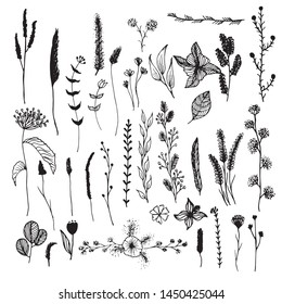 Big set of hand drawn floral vector with leaves and branches,Floral sketch collection. Decorative elements for design.