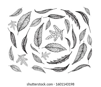 Big set of hand drawn floral vector with leaves and branches,Floral sketch collection. Decorative elements for design.