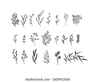 Big set of hand drawn floral vector with leaves and branches,Floral sketch collection. Decorative elements for design.
