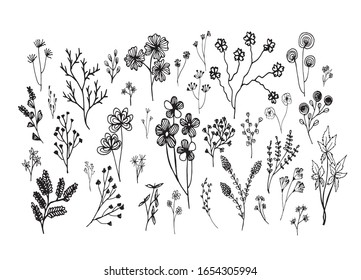 Big set of hand drawn of floral vector with leaves and branches,Floral sketch collection. Decorative elements for Spring and Autumn design.