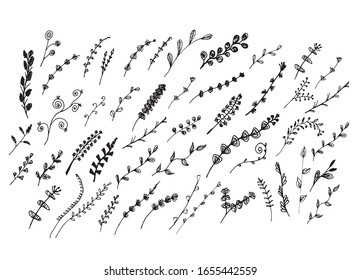 Big set of hand drawn of floral vector with leaves and branches,Floral sketch collection. Decorative elements for Spring and Autumn design.