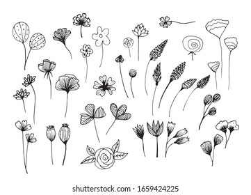 Big set of hand drawn floral vector with leaves and branches,Floral sketch collection. Decorative elements for design.