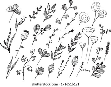 Big set of hand drawn floral vector with leaves and branches,Floral sketch collection. Decorative elements for design.