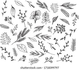 Big set of hand drawn floral vector with leaves and branches,Floral sketch collection. Decorative elements for design.