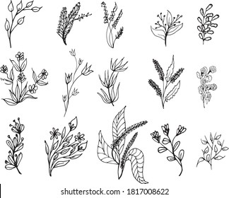 Big set of hand drawn floral vector with leaves and branches,Floral sketch collection. Decorative elements for design.
