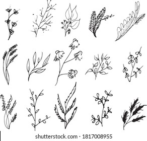 Big set of hand drawn floral vector with leaves and branches,Floral sketch collection. Decorative elements for design.