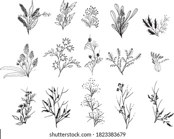 Big set of hand drawn floral vector with leaves and branches,Floral sketch collection. Decorative elements for design.