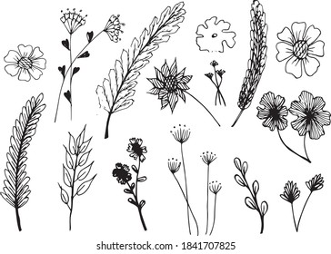 Big set of hand drawn floral vector with leaves and branches,Floral sketch collection. Decorative elements for design.

