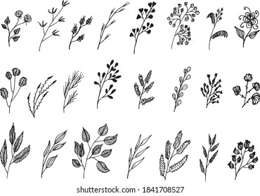 Big set of hand drawn floral vector with leaves and branches,Floral sketch collection. Decorative elements for design.

