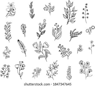 Big set of hand drawn floral vector with leaves and branches, New collection of Floral sketch . Decorative elements for design.