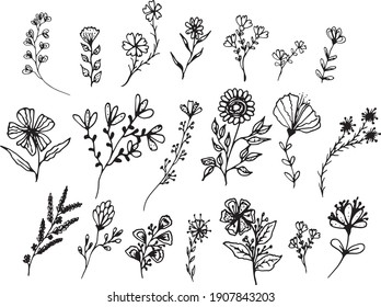 Big set of hand drawn floral vector with leaves and branches,Floral sketch collection. Decorative elements for design,Exclusive style