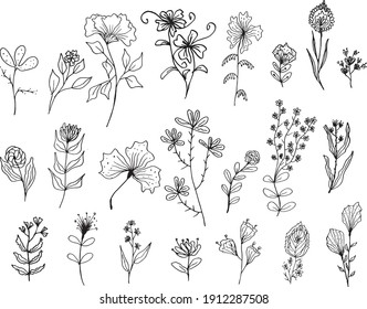 Big set of hand drawn floral vector with leaves and branches,Floral sketch collection. Decorative elements for design. Wild flowers