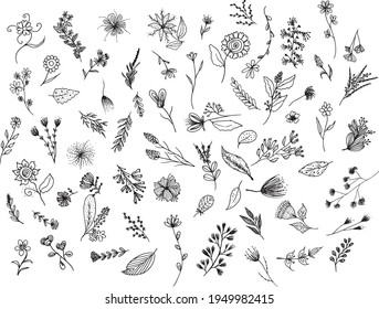 Big set of hand drawn floral vector with leaves and branches,Floral sketch collection. Decorative elements for design.