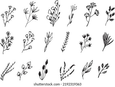 Big set of hand drawn floral vector with leaves and branches,Floral sketch collection. Decorative elements for design.