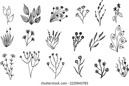 Big set of hand drawn floral vector with leaves and branches, Floral sketch collection, Decorative elements for design, New collection. 