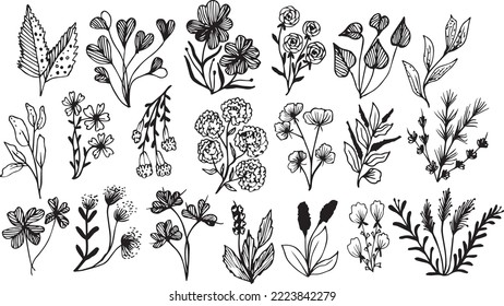 Big set of hand drawn floral vector with leaves and branches, Floral sketch collection. Decorative elements for design.