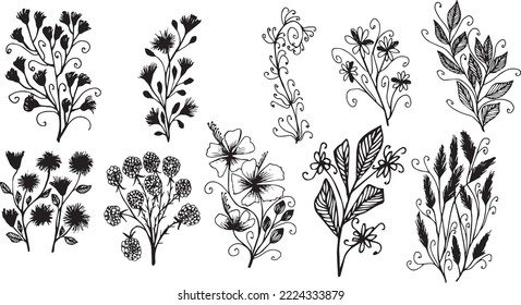Big set of hand drawn floral vector with leaves and branches, Floral sketch collection. Decorative elements for design.