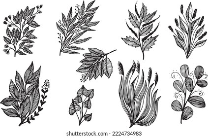 Gran conjunto de vector floral dibujado a mano con, colección de boceto floral. Elementos decorativos para el diseño.