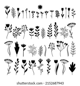 Big set of hand drawn flowers. Floral collection. Doodle style. A sketch for bouquet. Vector illustration