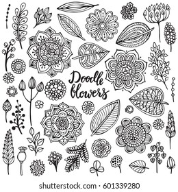 Big set of hand drawn flowers, branches, leaves in ornate doodle style. Vector floral sketch collection. Decorative elements for design