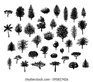 Big set of hand drawn forest trees silhouettes vector illustration in black isolated over white.