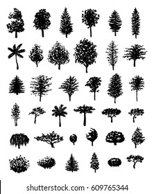 Big set of hand drawn forest trees silhouettes vector illustration in black isolated over white.
