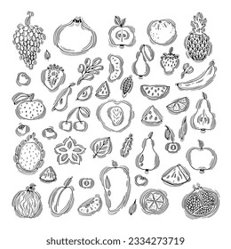 Big set of hand drawn fruit and berries icons. Summer fruit collection. Sketch, doodle style. Vector illustration