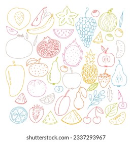 Big set of hand drawn fruit and berries icons. Summer fruit collection. Sketch, doodle style. Vector illustration