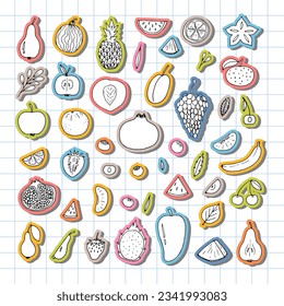 Big set of hand drawn fruit and berries icons. Summer fruit collection. Sketch, doodle style. Vector illustration
