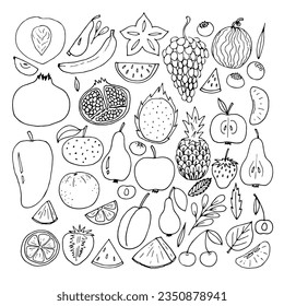 Big set of hand drawn fruit and berries icons. Summer fruit collection. Sketch, doodle style. Vector illustration