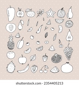 Big set of hand drawn fruit and berries icons. Summer fruit collection. Sketch, doodle style. Vector illustration