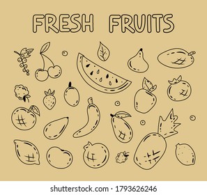 Big set of hand drawn fruits and berries. Fresh organic summer fruits and berries. Decorative vector background in flat style for advertisement, promotion. Healthy food. Juicy fruits