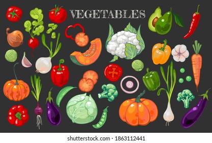 Big set with hand drawn healthy vegetables isolated on dark background. Colored bright vector illustration with different vegetables in doodle style. Cabbage, carrots, tomatoes, pumpkin, peas, pepper