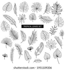 Big set of hand drawn outline tropical leaves in black and white isolated.  Design template for wedding, valentine, logo, banner, poster, invitation and greeting card design. Collection in vector